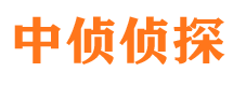 南岔外遇出轨调查取证